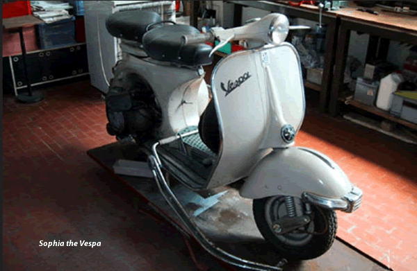 image-of-classic-scooter-named-sophia
